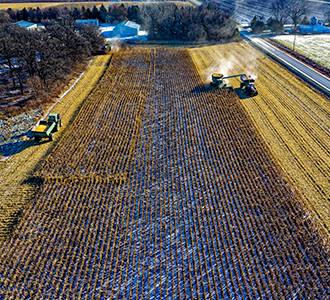 harvesting crops