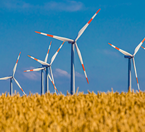 Windmills in wheat fields