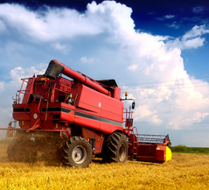 harvesting crops