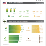 June 30 USDA Report