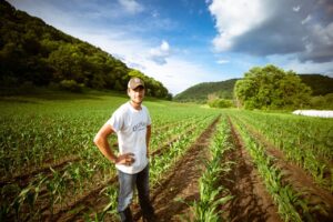 Farmer in crop rows