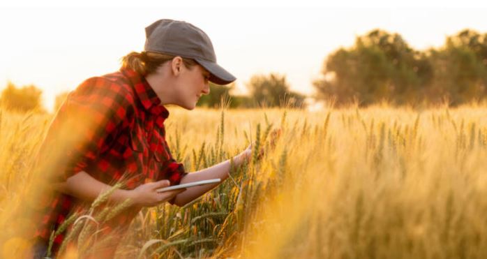 Woman Farmer in Wheat field