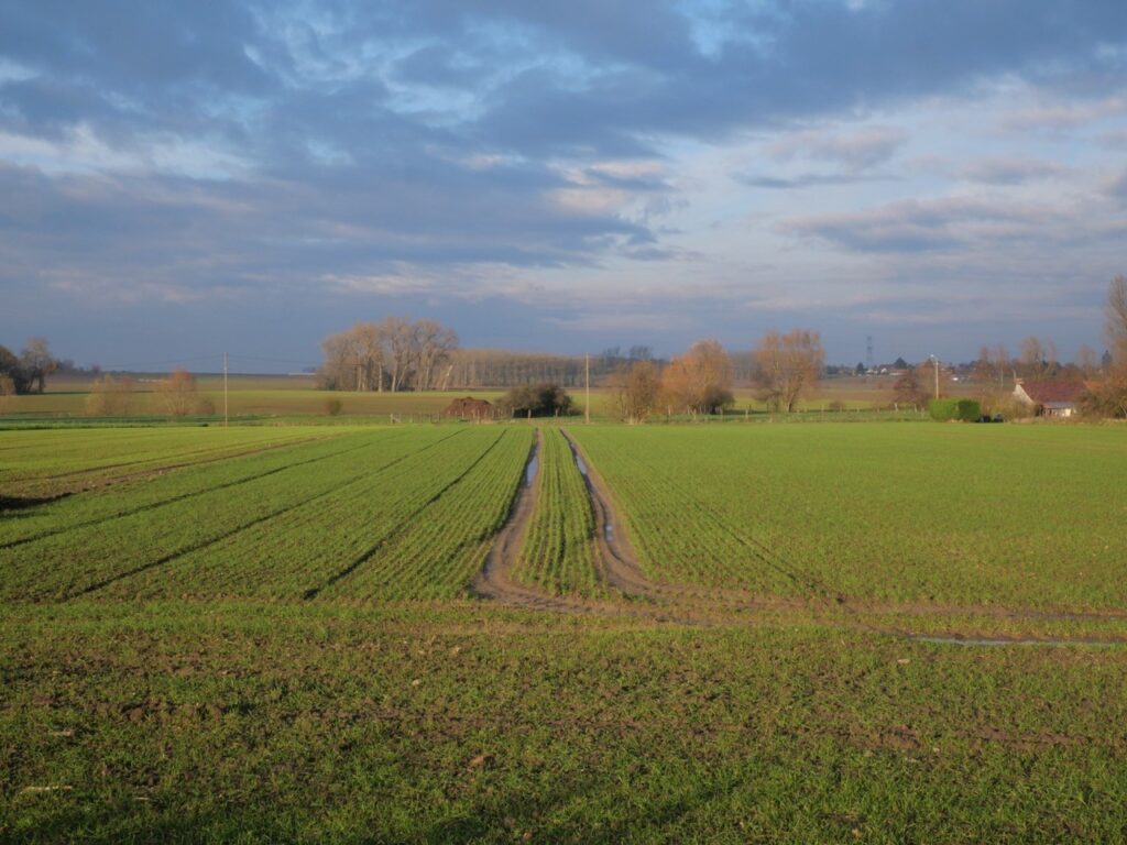 farmland