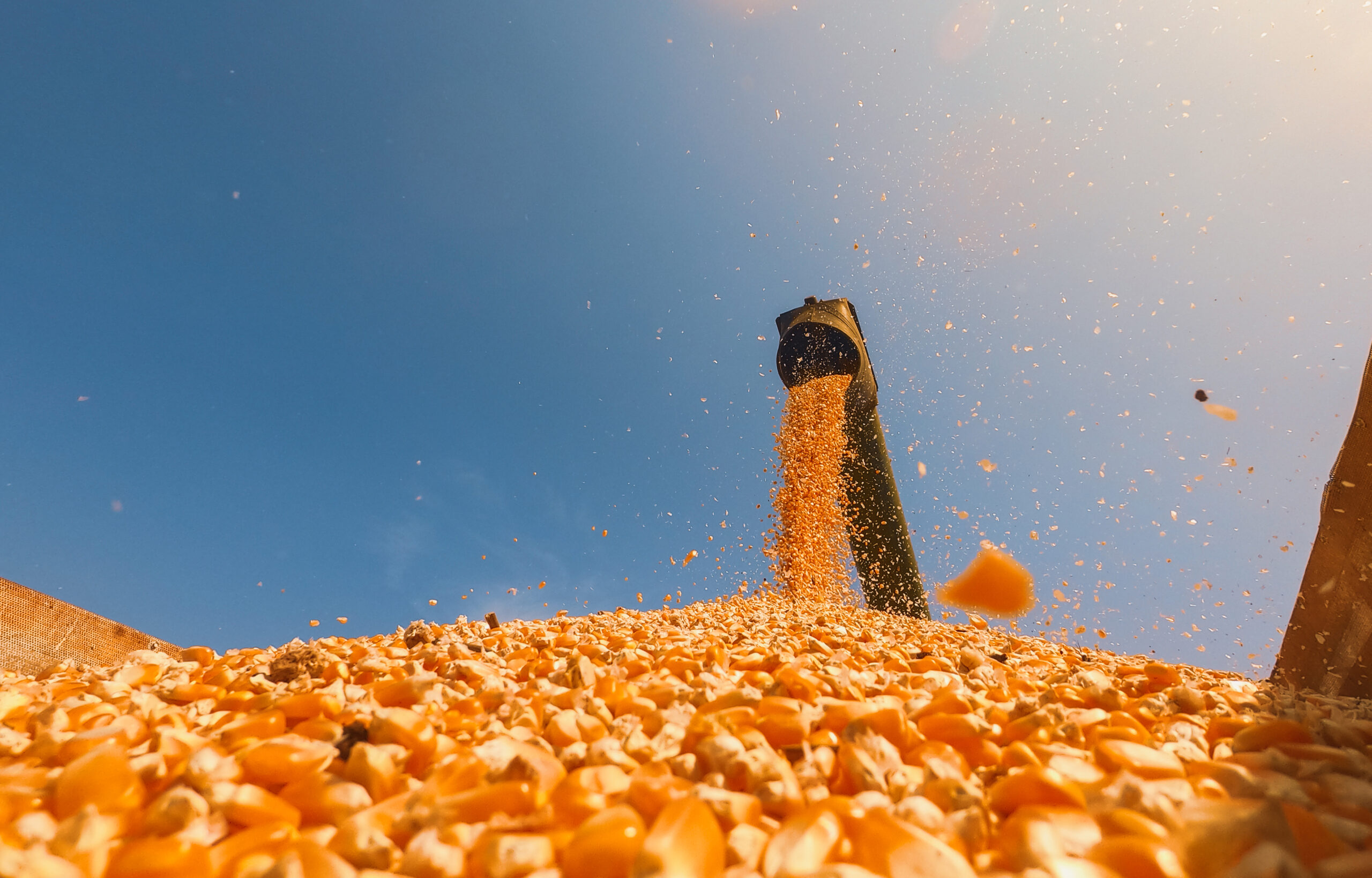 Weekly US Ethanol Production Up ADM Investor Services