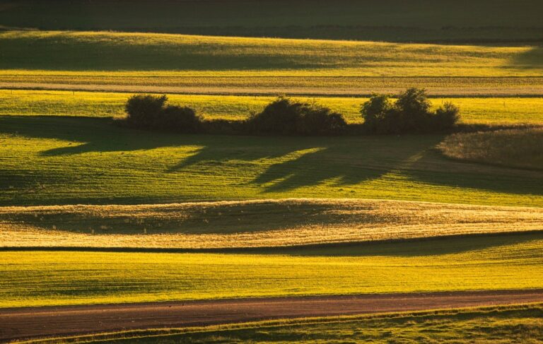 farmland