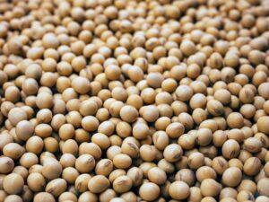 raw soybeans