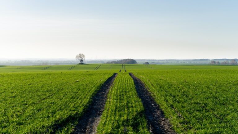 farm fields