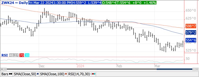 QST wheat chart on 3.22.24