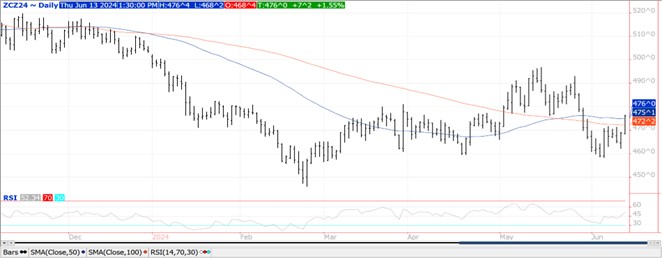 QST Corn chart 6.13.24