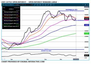 eSignal LC Open Interest chart on 12.30.24