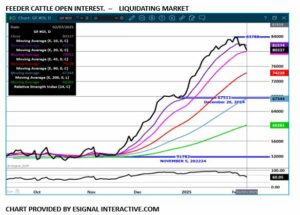 Feeder Cattle OI chart 2 7 25