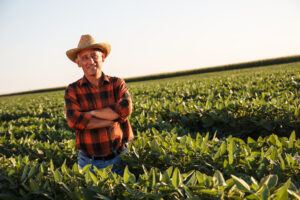 Farmer in the fields