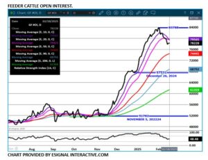 Feeder Cattle OI chart on 2.18.25