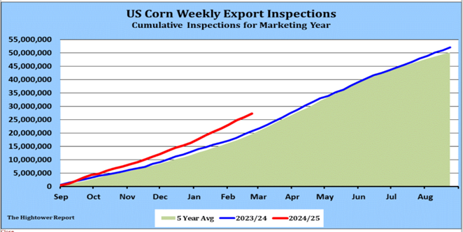 corn