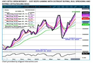 eSignal LC Open Interest chart on 6.6.25