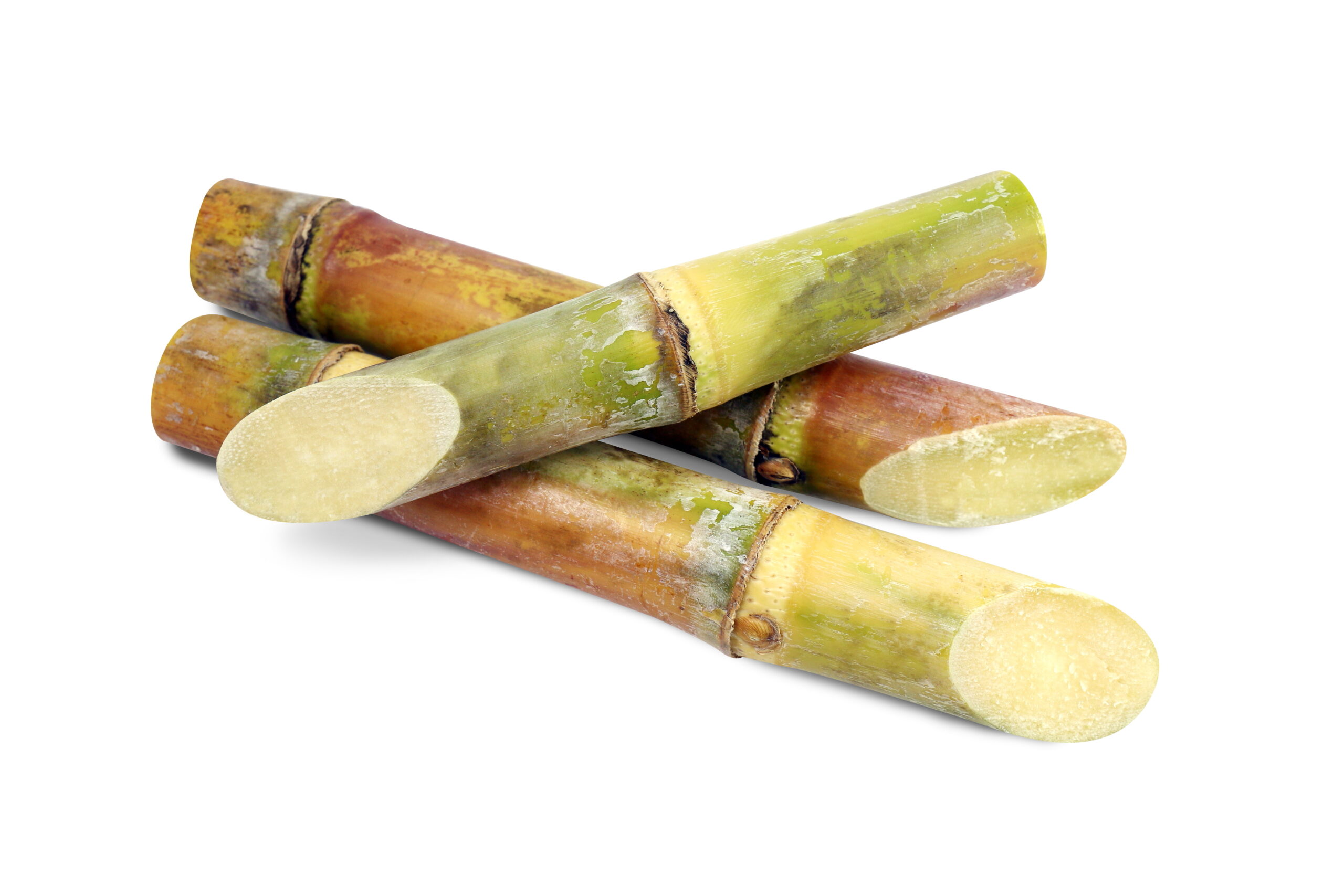 Sugar Steadies After Oil Drop - ADM Investor Services