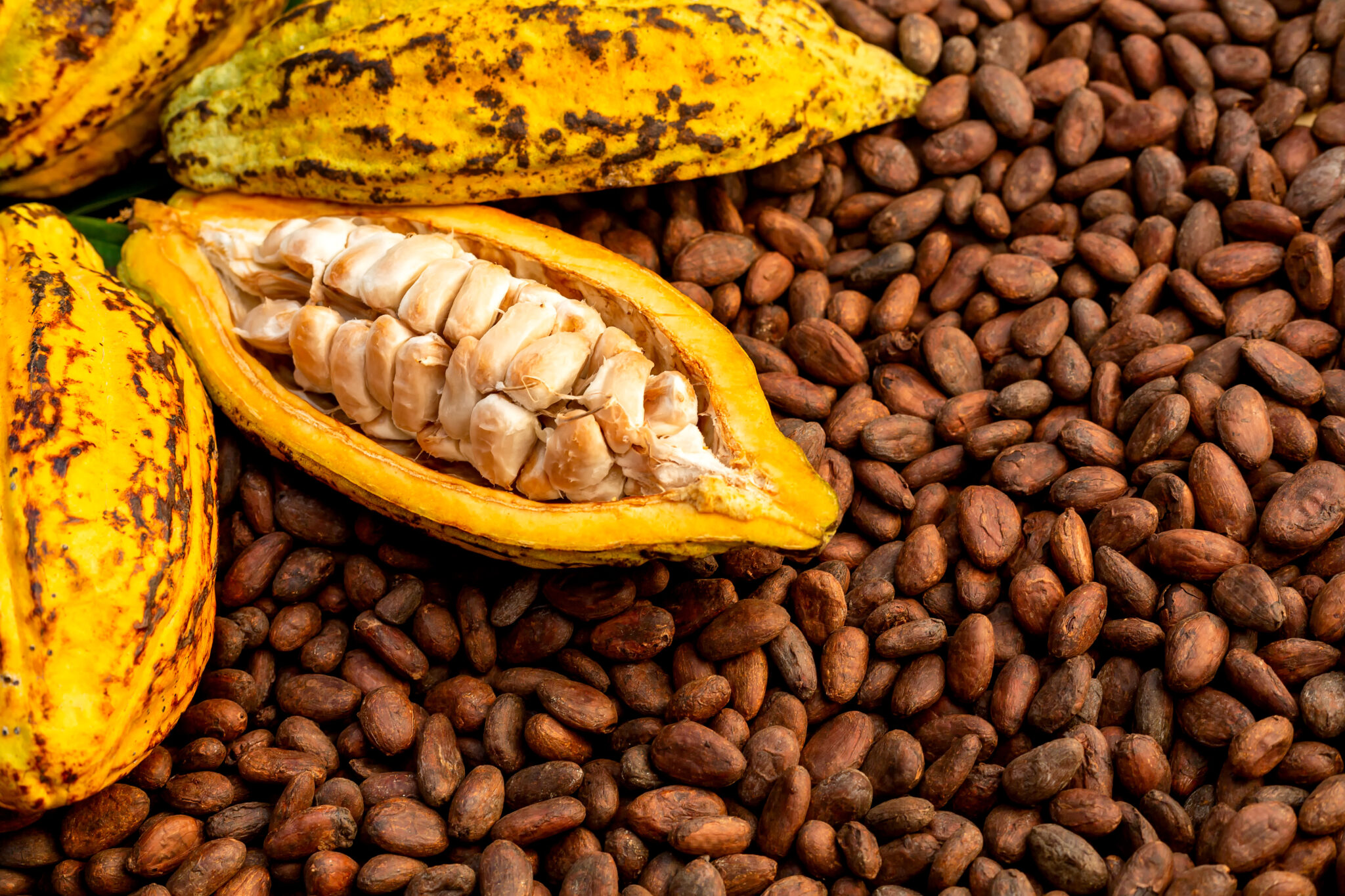 Coco May May Cocoa Hits Contract Low - ADM Investor Services