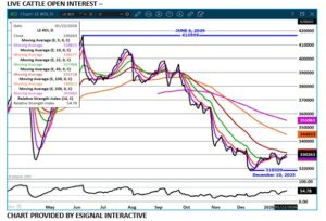 eSignal Live Cattle open interest chart on 1.22.26