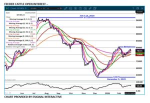 eSignal Feeder Cattle open interest chart on 3.3.26