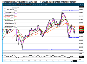Cattle/Hog spread chart on 8.21.26 by eSignal
