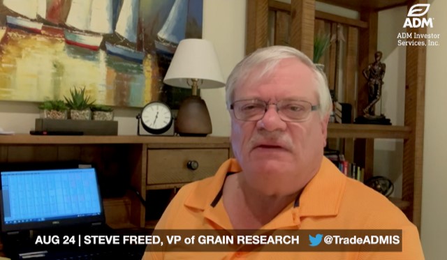 Steve Freed
