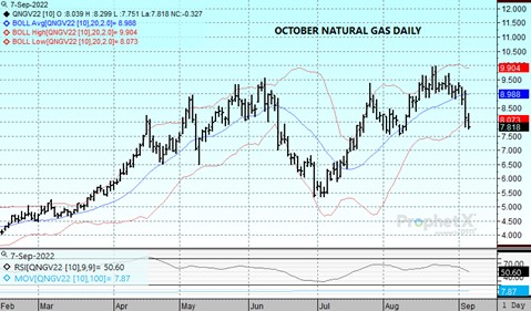 DNT Natural Gas Daily chart