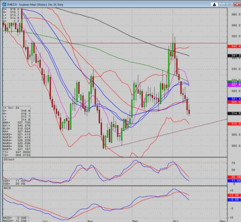Dec Soybean Meal Chart
