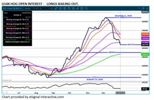eSignal LH open interest chart on 1.2.25