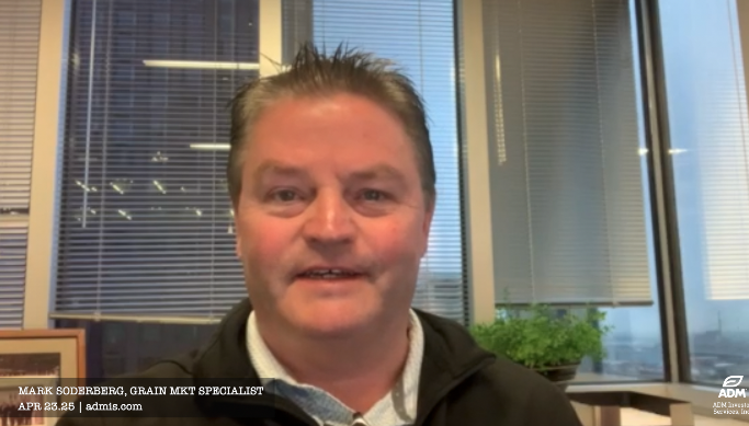 Mark Soderberg, grain market specialist