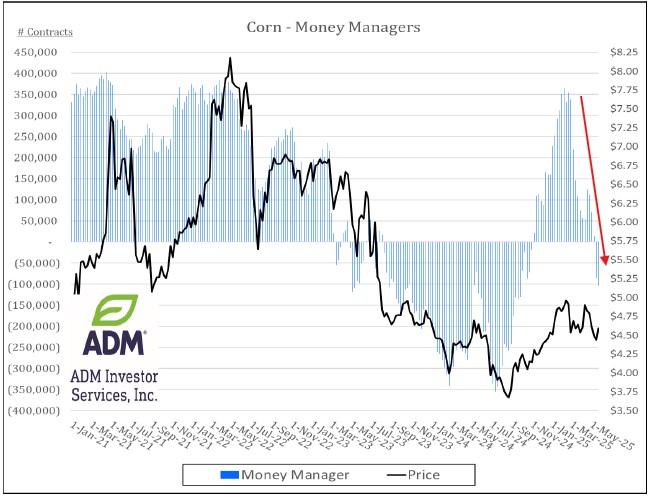 Money Managers Corn positions
