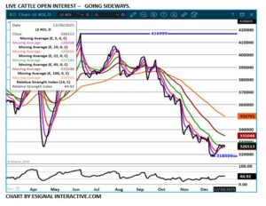 eSignal LC open interest chart on 12.30.25