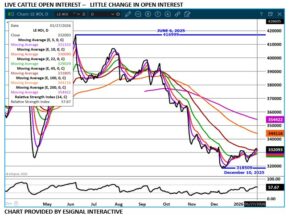 Live Cattle open interest chart by eSignal on 1.27.26