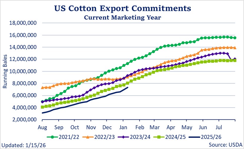 Cotton Export Commitments Chart Jan 2026