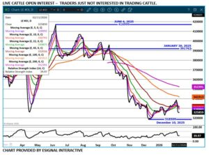 eSignal LC open interest chart on 2.11.26