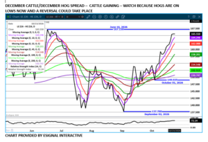 Dec LC/LH spread chart on 10.26.26 by eSignal