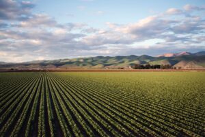 Farmland