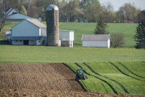 Harvesting on the farm