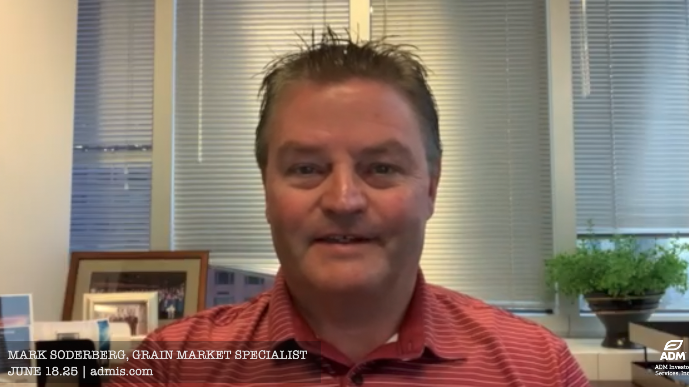 Mark Soderberg, grain analyst