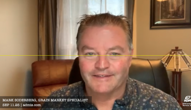 Mark Soderberg, grain market specialist