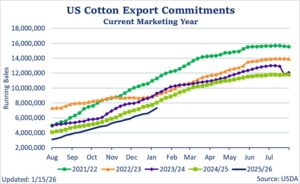 Cotton Export Commitments Chart Jan 2026