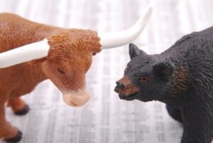bull and bear