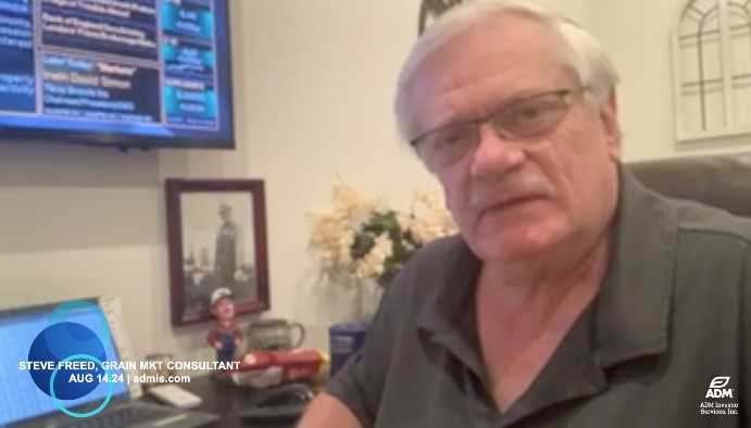 Steve Freed, grain market consultant