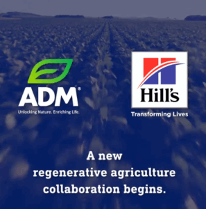 ADM Hill's collaboration