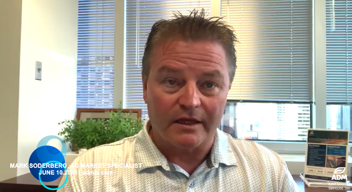 Mark Soderberg, grain market specialist